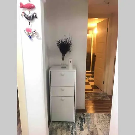 Zevkle Dizayn Edilmis,hijyenik,konforlu Ve Huzurlu דירה *